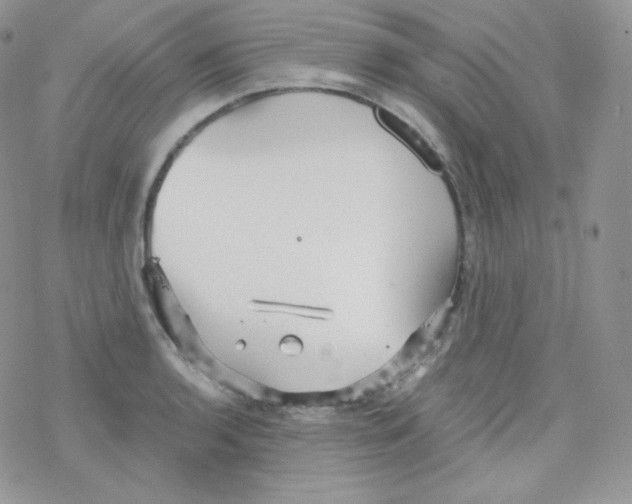 X0000078301136200611251502