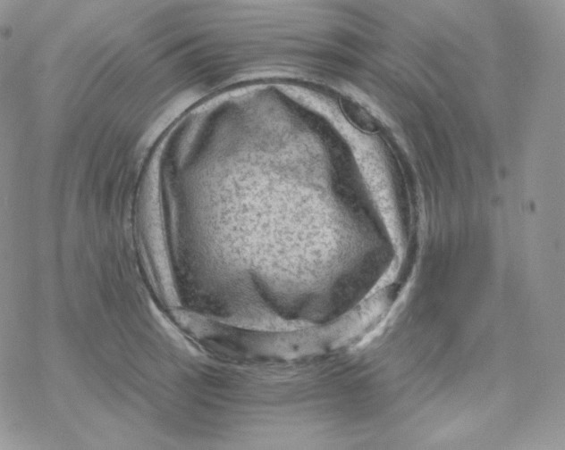 X0000078301137200611251502