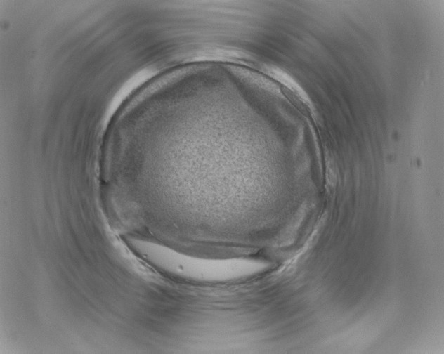 X0000078301138200611251502