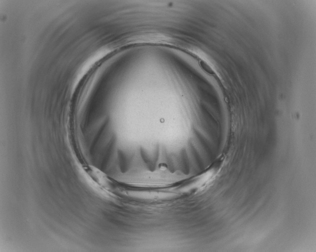 X0000078301139200611251502