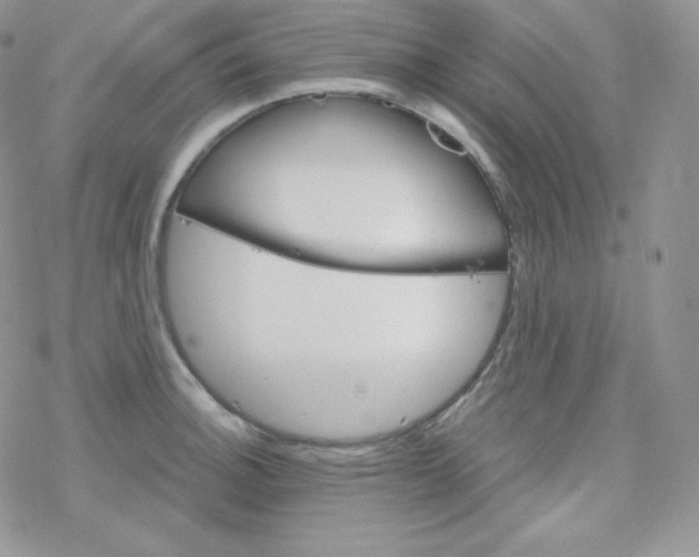 X0000078301140200611251502