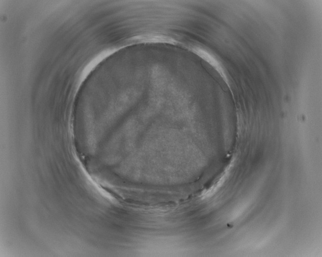 X0000078301141200611251502