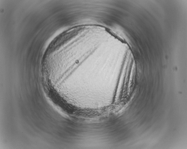 X0000078301142200611251502