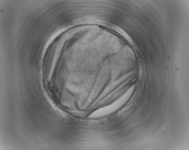 X0000078301144200611251502