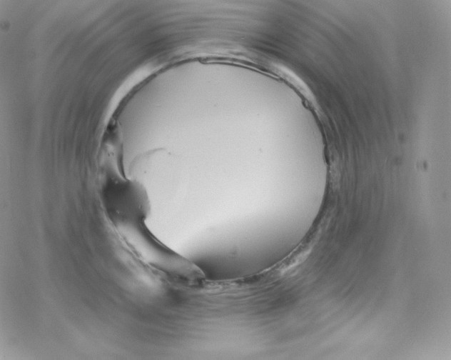 X0000078301146200611251502