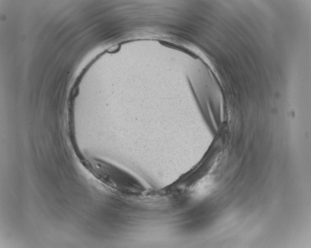 X0000078301147200611251502