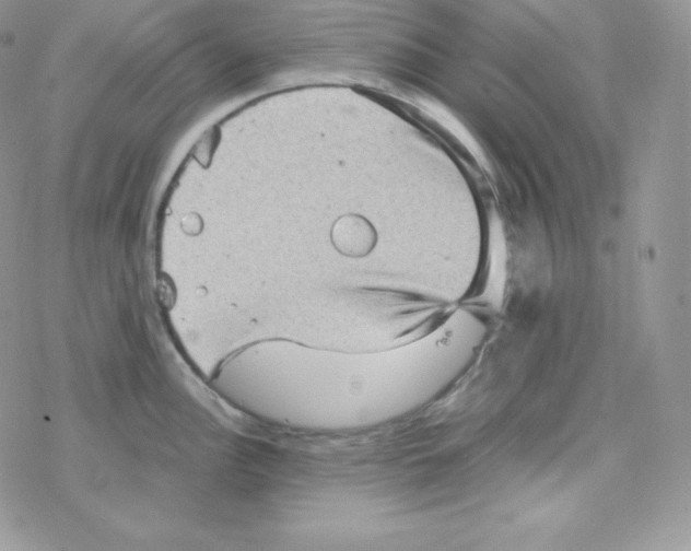 X0000078301148200611251502