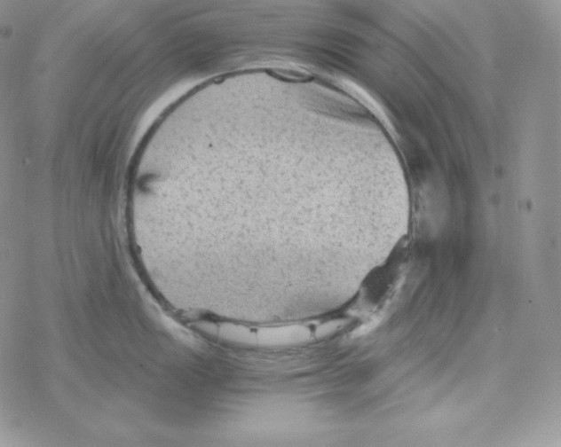 X0000078301149200611251502