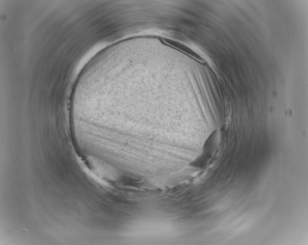 X0000078301151200611251502