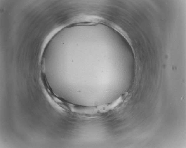 X0000078301152200611251502