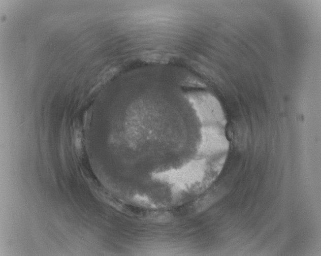 X0000078301154200611251501