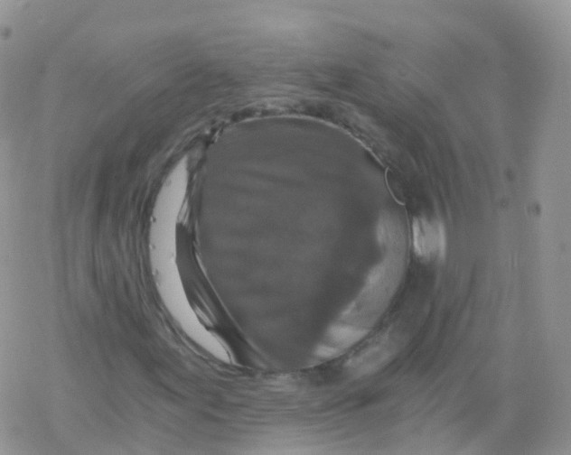 X0000078301155200611251501