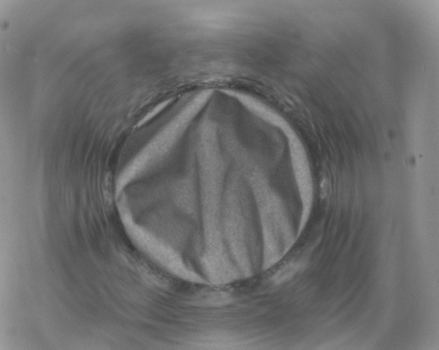 X0000078301156200611251501