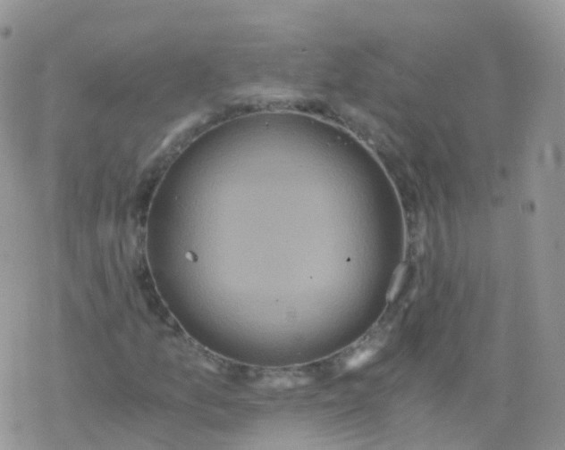 X0000078301157200611251501