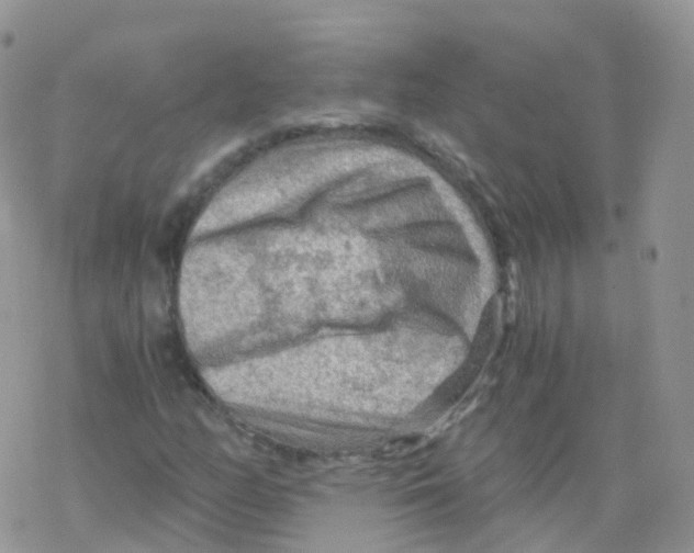 X0000078301158200611251501