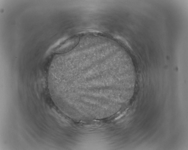 X0000078301159200611251501