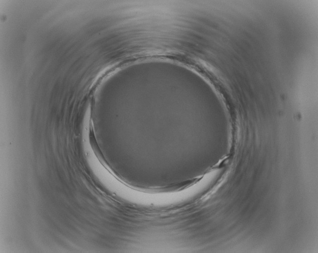 X0000078301161200611251501