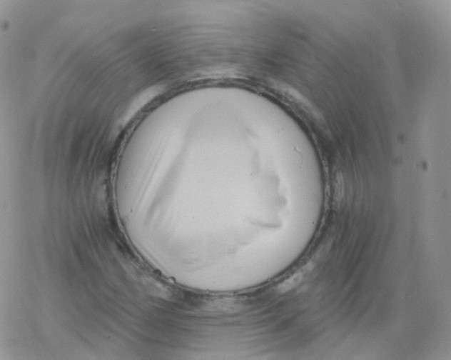 X0000078301162200611251501