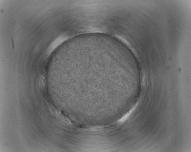 X0000078301163200611251501