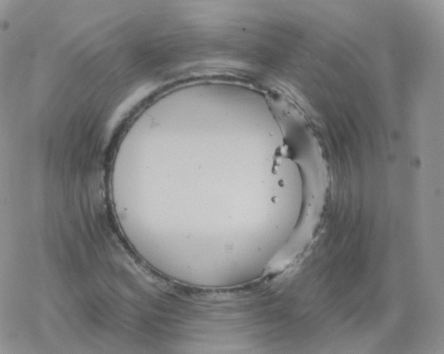 X0000078301164200611251501