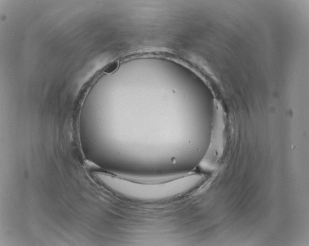 X0000078301165200611251501