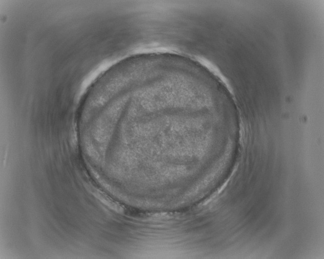 X0000078301167200611251501