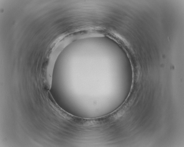 X0000078301169200611251501