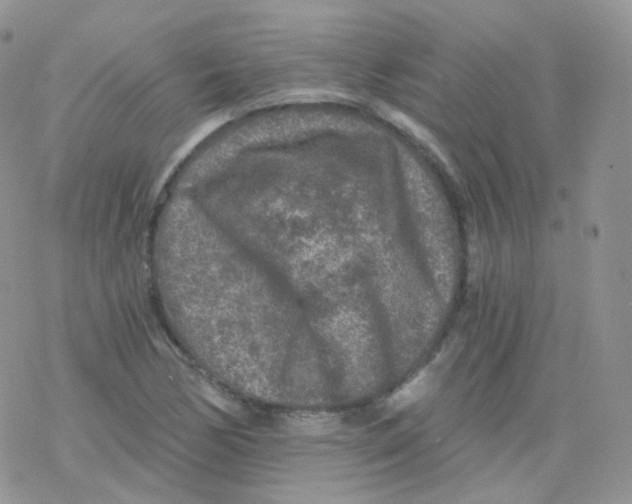 X0000078301170200611251501