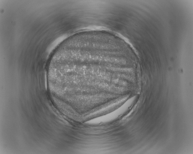 X0000078301171200611251501