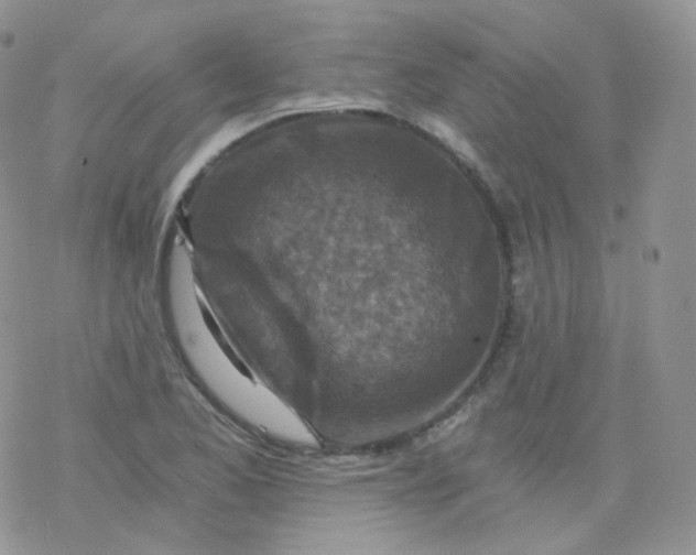 X0000078301173200611251501