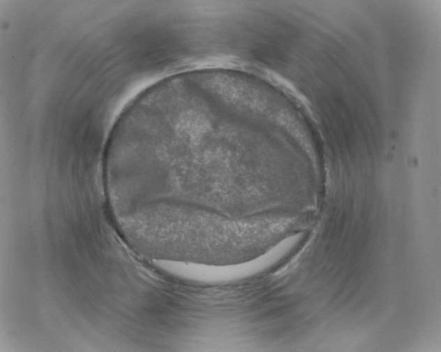 X0000078301174200611251501