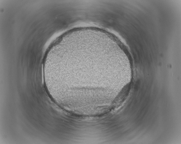 X0000078301175200611251501