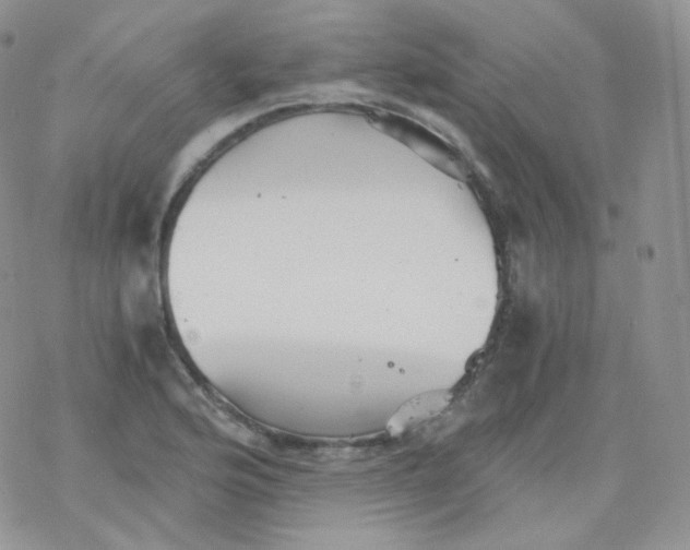 X0000078301176200611251501