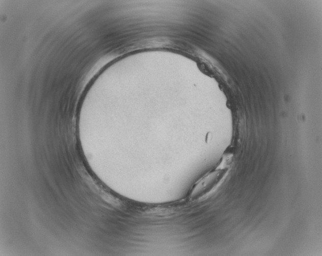 X0000078301178200611251501