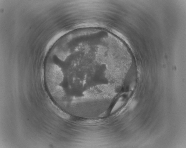 X0000078301179200611251501