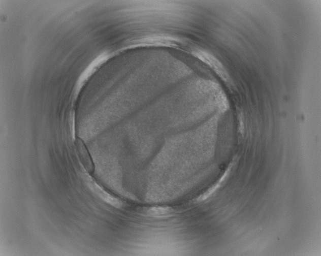 X0000078301180200611251501