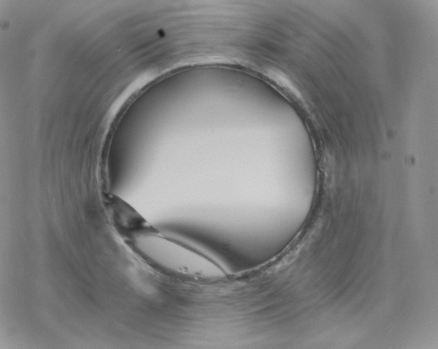 X0000078301181200611251501