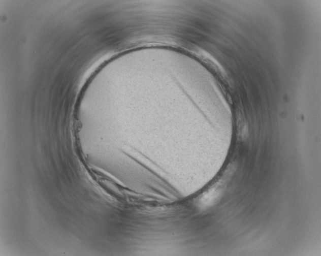 X0000078301182200611251501