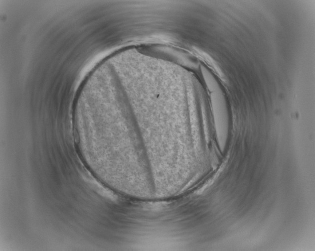 X0000078301184200611251501