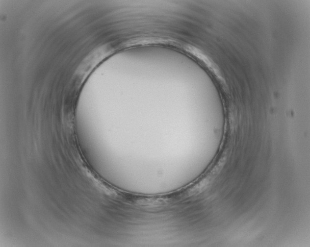 X0000078301185200611251501