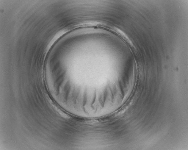 X0000078301186200611251501