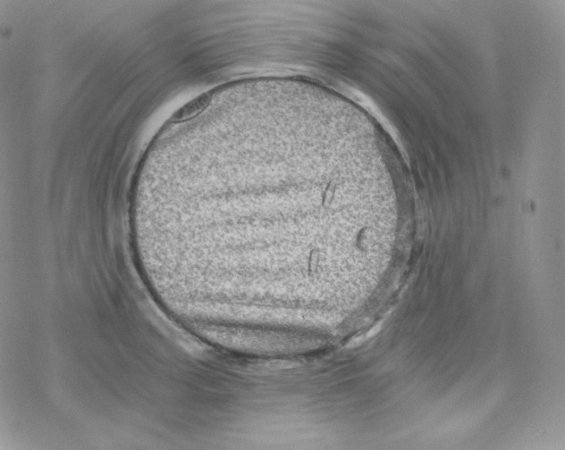 X0000078301187200611251501