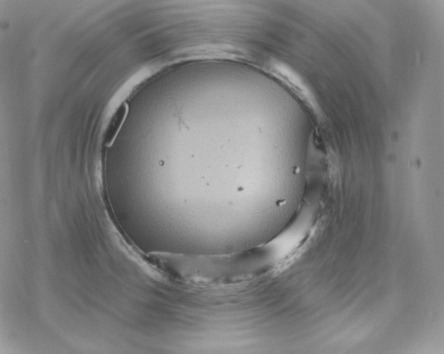 X0000078301188200611251501