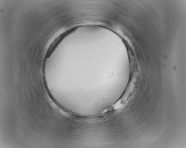 X0000078301189200611251501