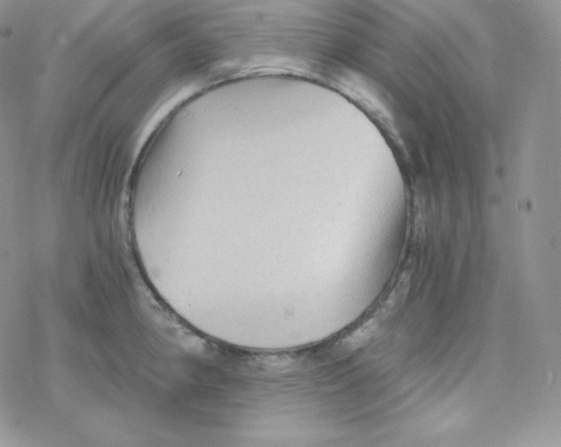 X0000078301190200611251501