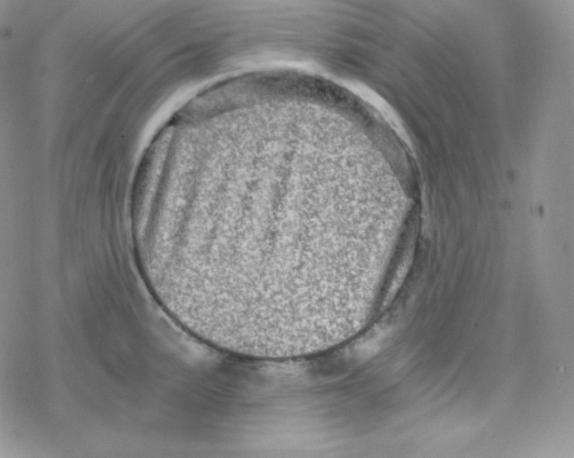 X0000078301191200611251501