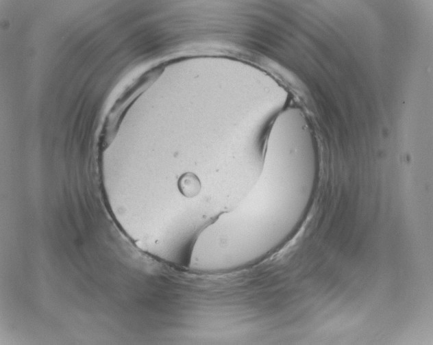 X0000078301192200611251501