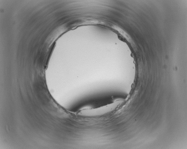 X0000078301193200611251501