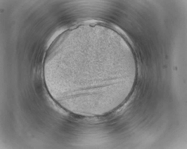 X0000078301194200611251501