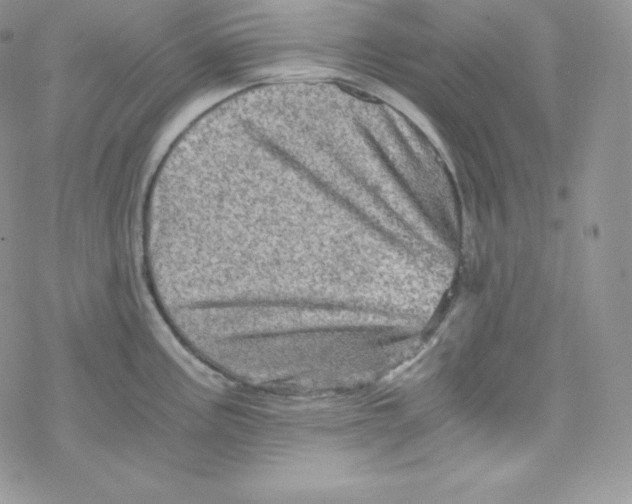 X0000078301195200611251501